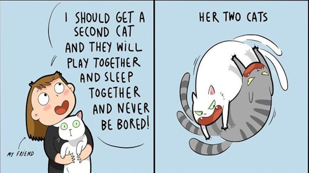 30 humorous comics featuring everyday and fantastical situations by artist Landish