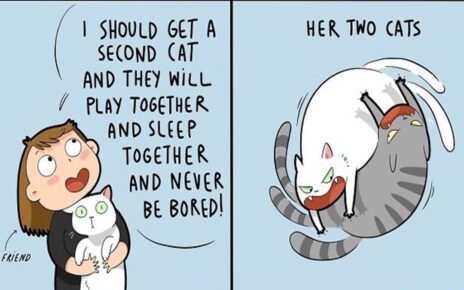 30 humorous comics featuring everyday and fantastical situations by artist Landish